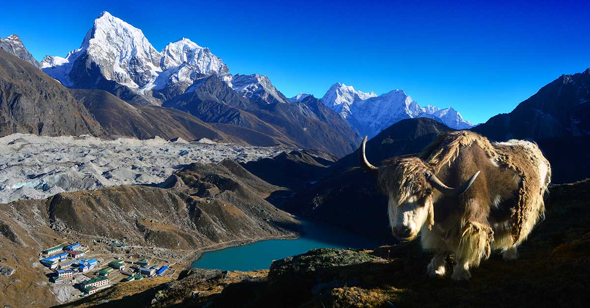 Everest Base Camp via Gokyo Lake