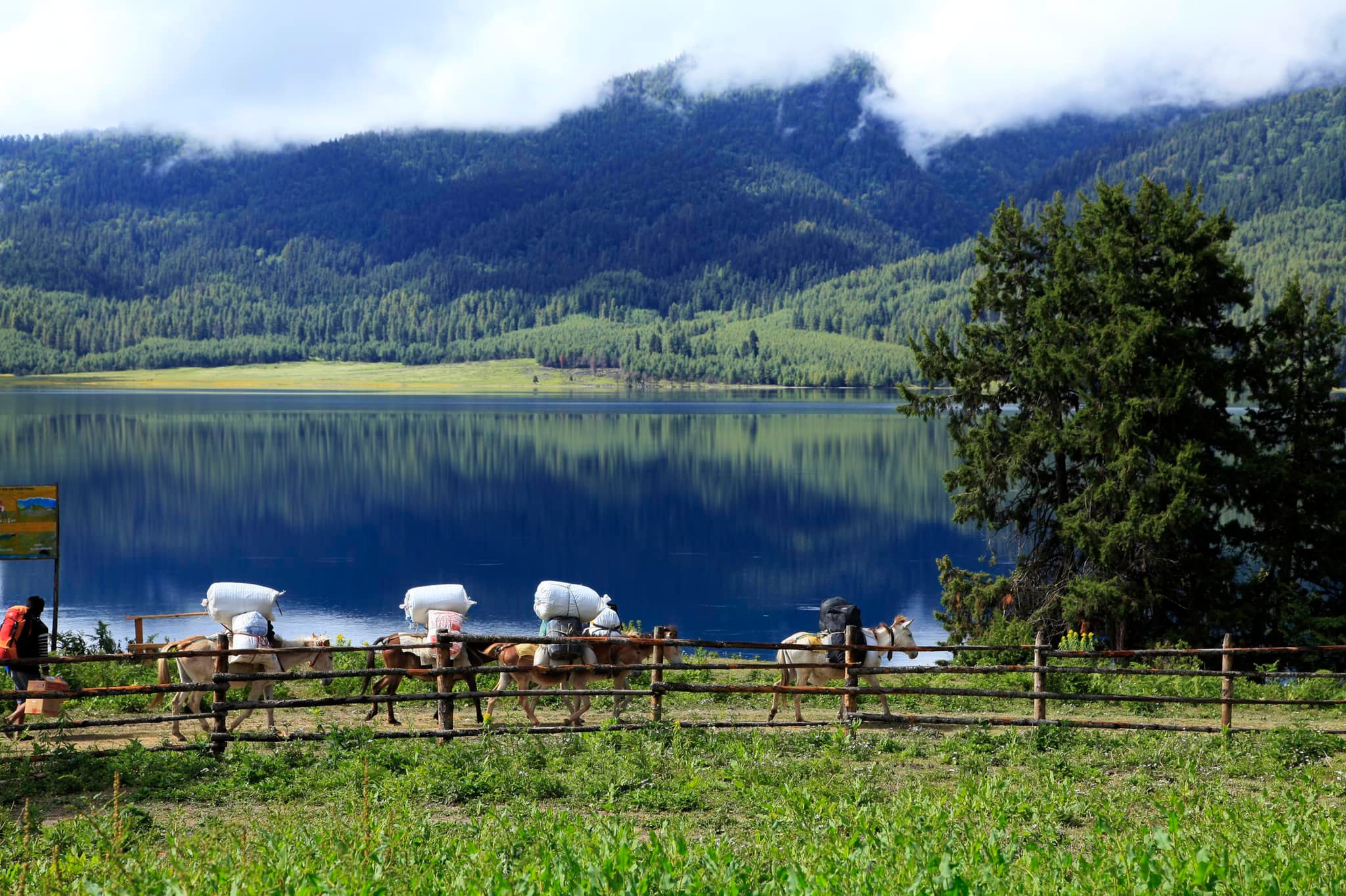 Rara  National Park